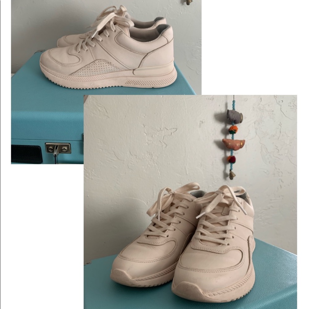 Everlane Trainer Sneakers